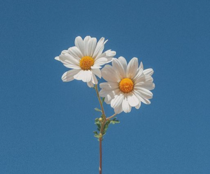 Sibuk Bukan Halangan, Jika Surga yang Dituju